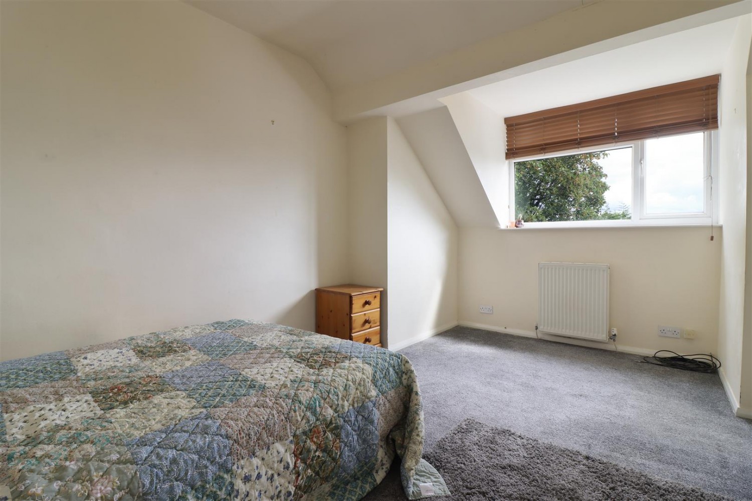 Ivy Grove, Crookesmoor, Sheffield