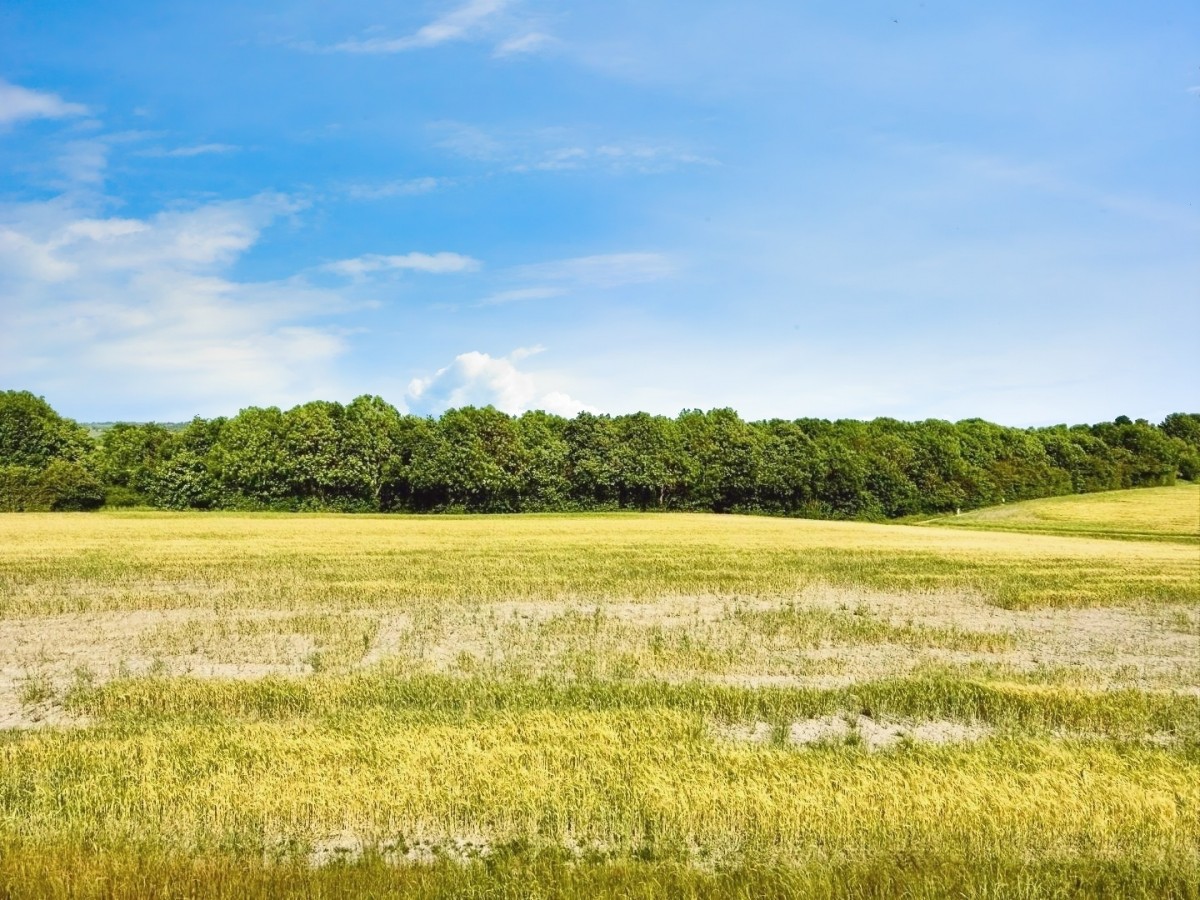 Bretton Way, Barnsley