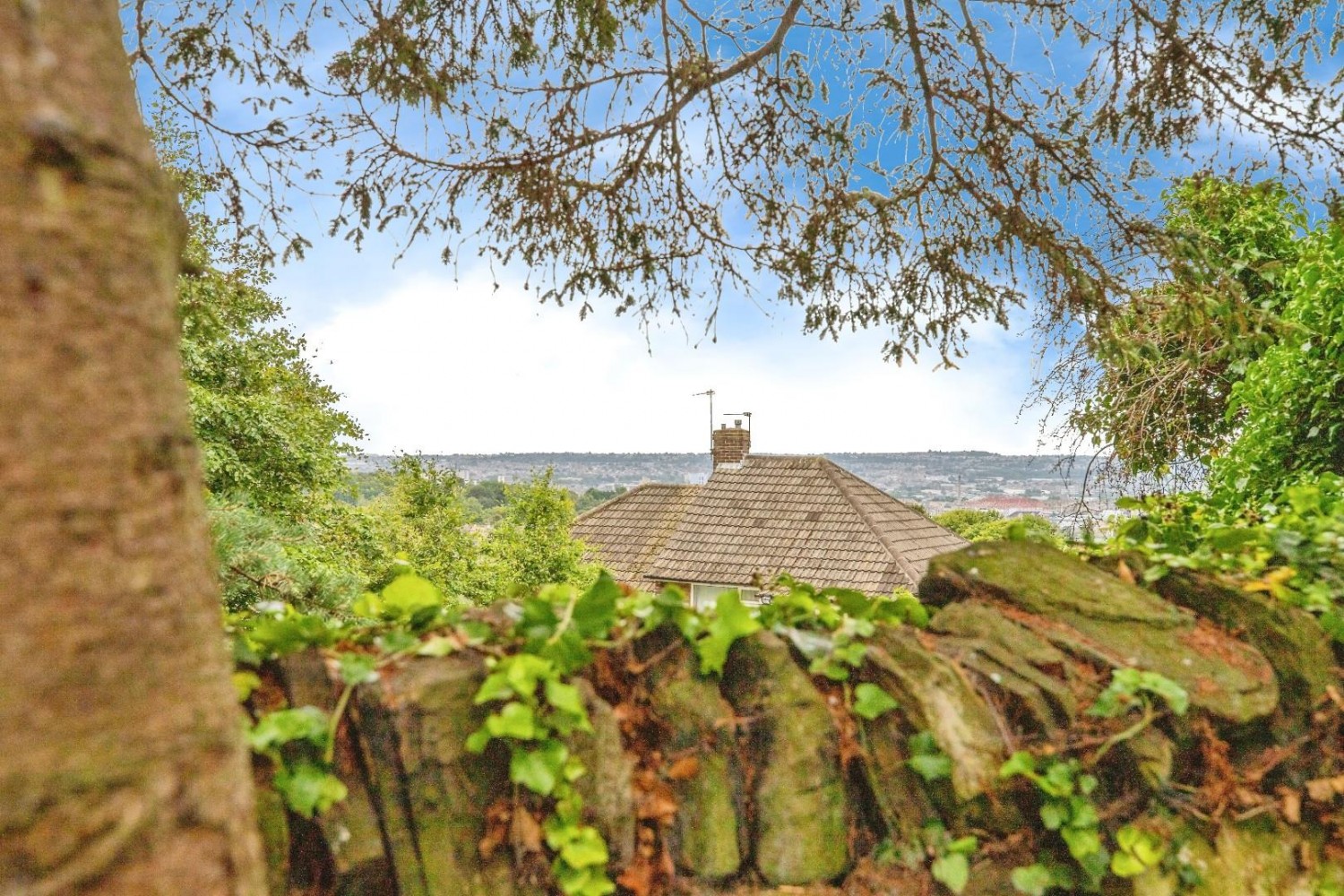 Hodgson Fold, Bradford