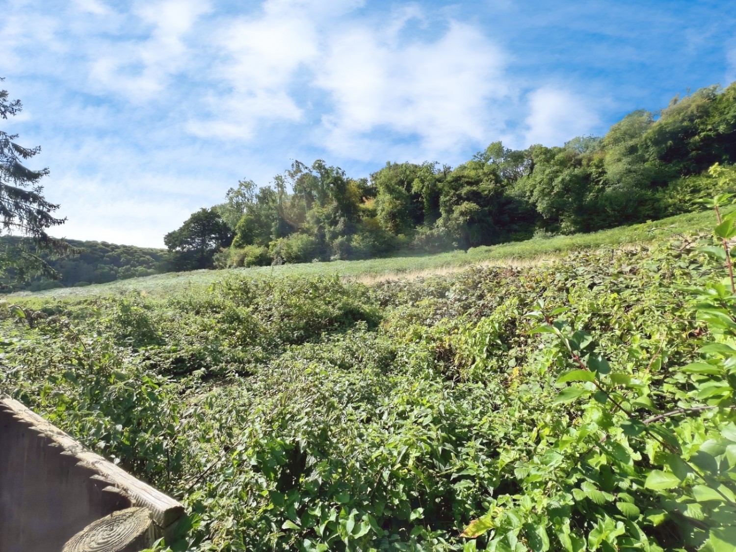 Garden Suburb, Dursley