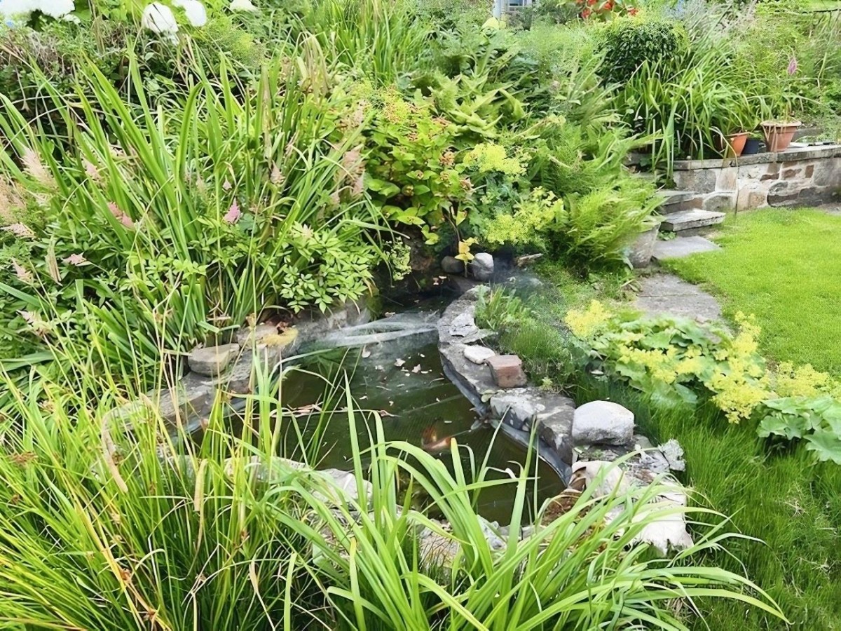 The Dell, Bishop Auckland