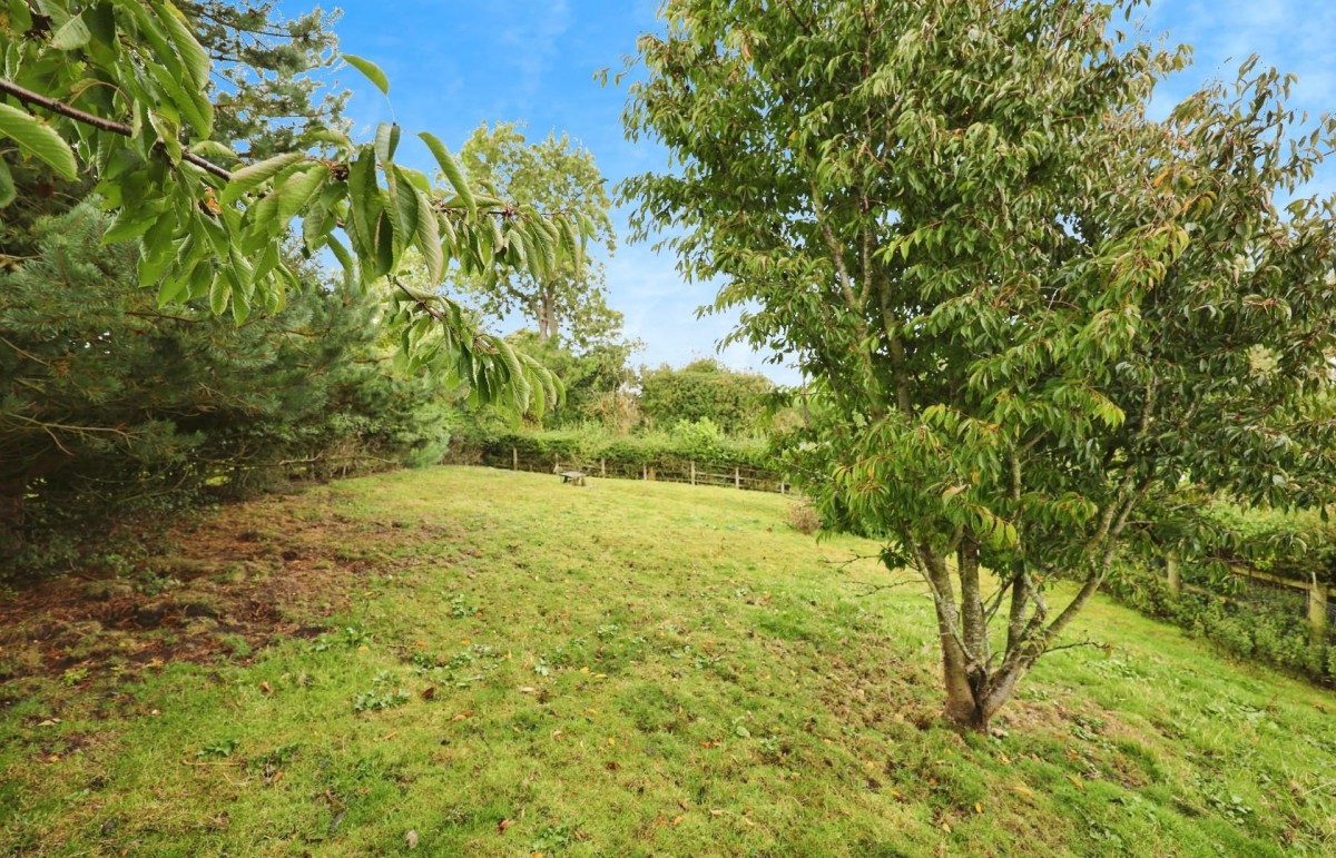 Lynesack, Butterknowle