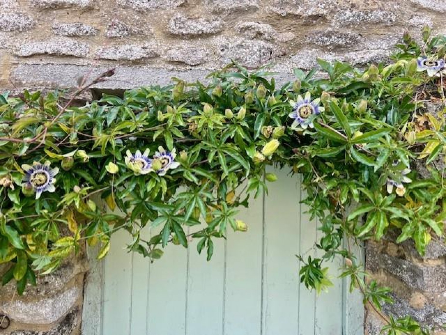 Cornfield Cottage, Newton Purcell, Buckingham