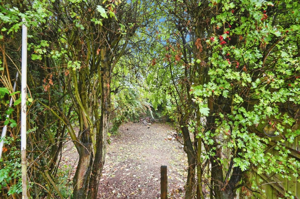 Sherbrooke Avenue, Wilnecote, Tamworth