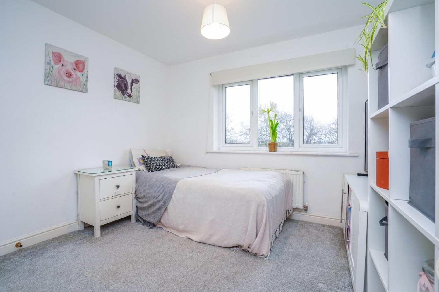 Sycamore Avenue, Eggborough, Goole