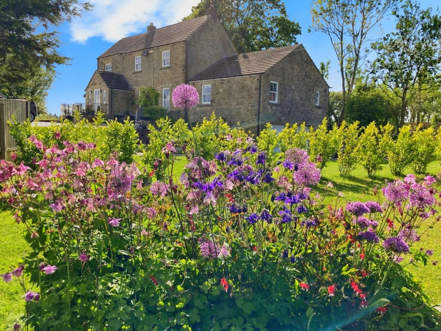 Witton Park, Bishop Auckland
