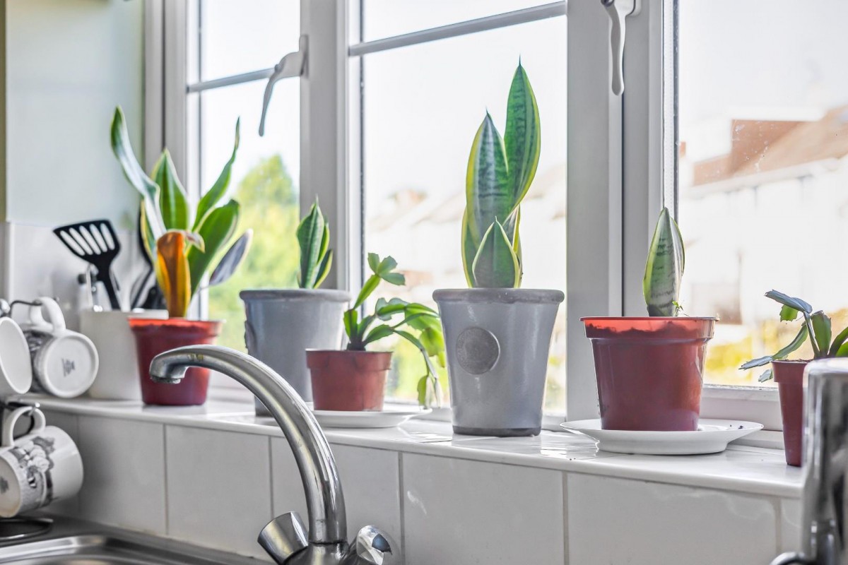 Sturminster Road, Bristol