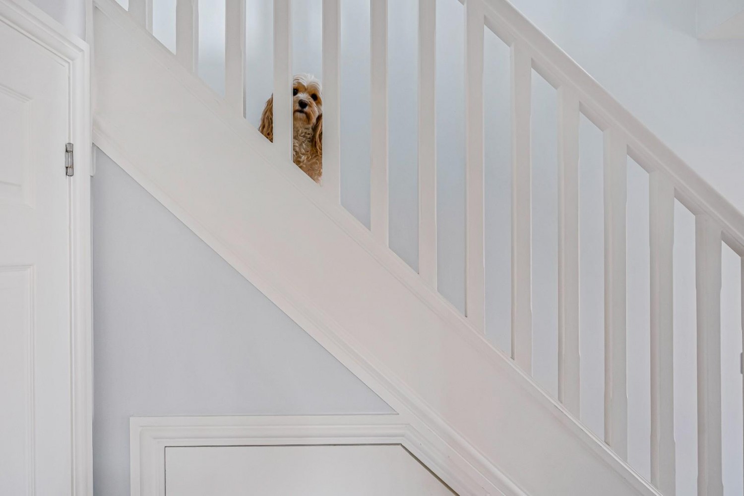 John Hall Close, Bristol