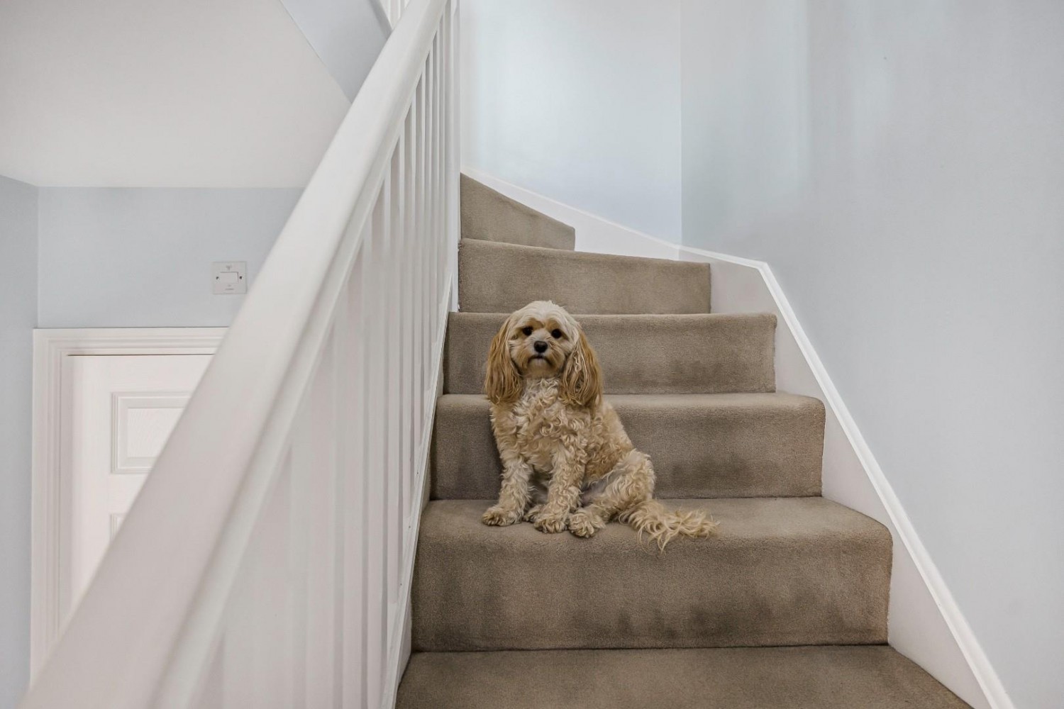 John Hall Close, Bristol