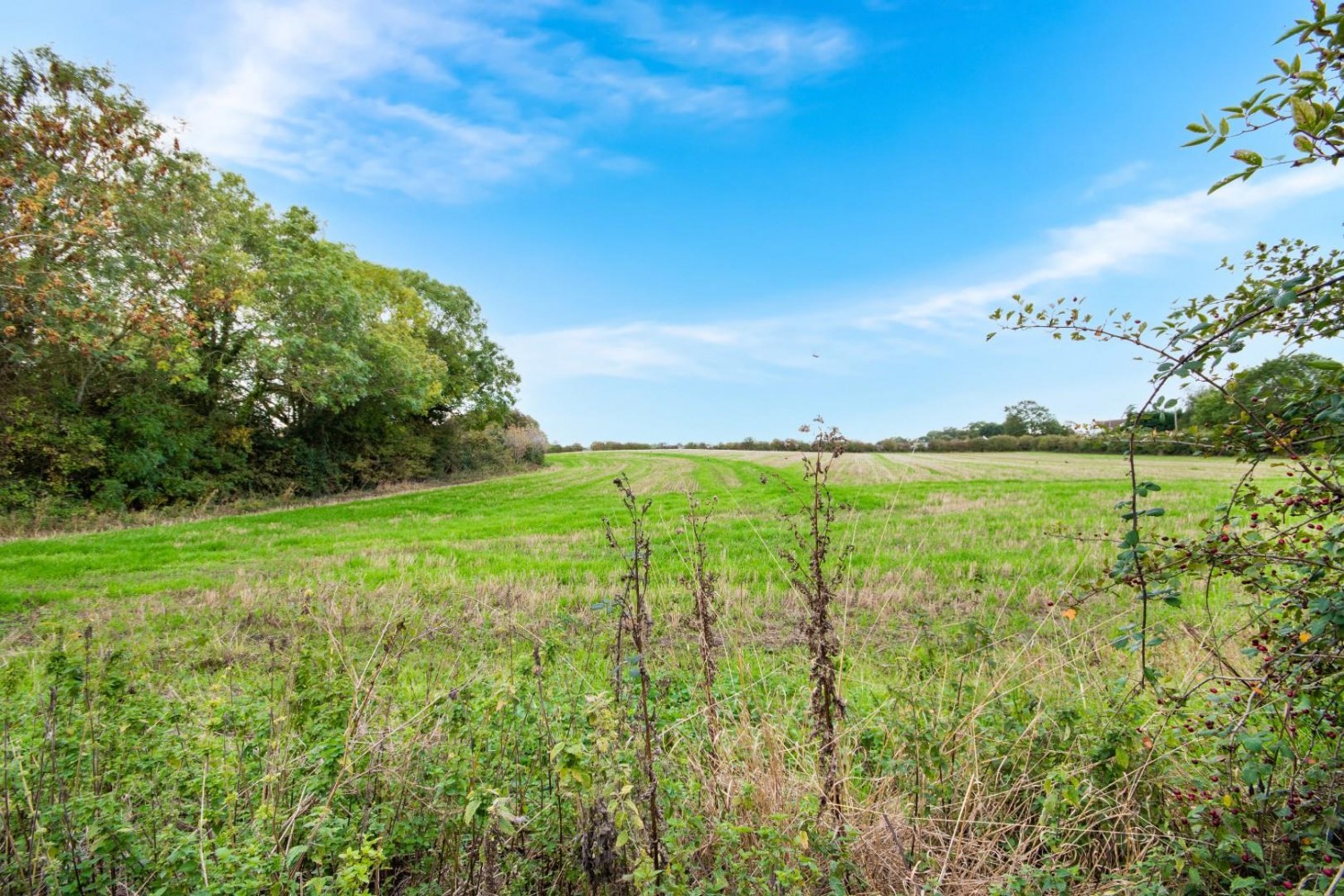 Mattersey Road, Everton, Doncaster