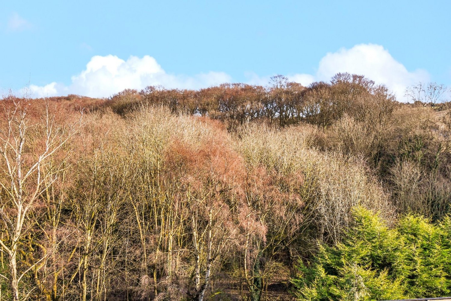Carrbottom Road, Greengates, Bradford