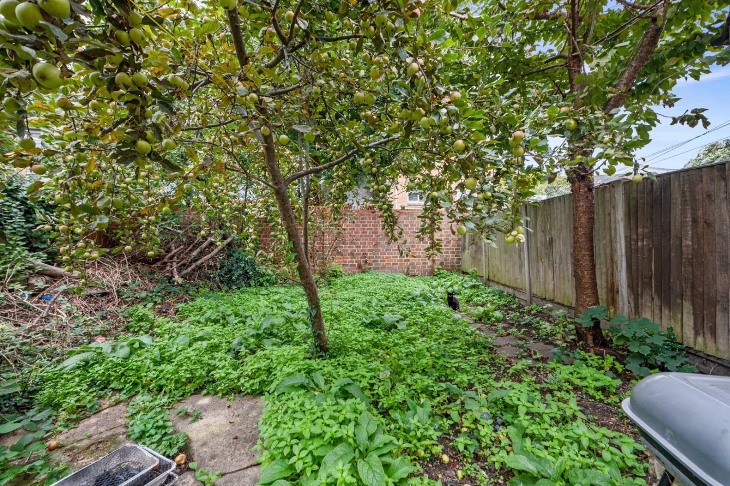 Bethune Road, London, N16