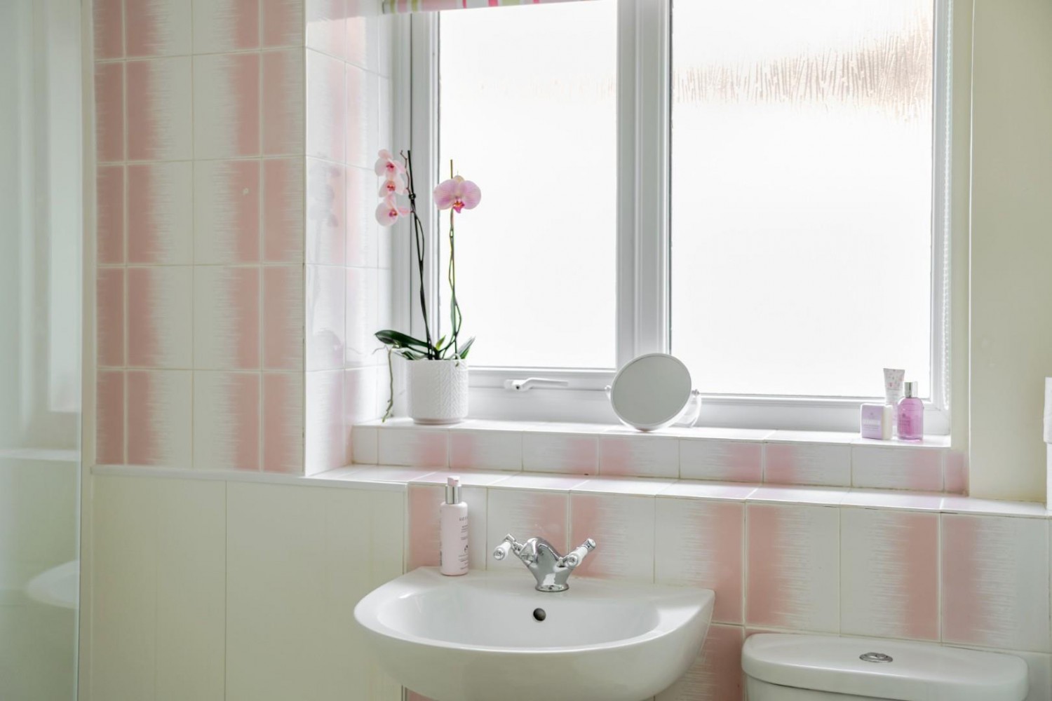 Parlington Meadow, Barwick In Elmet, Leeds