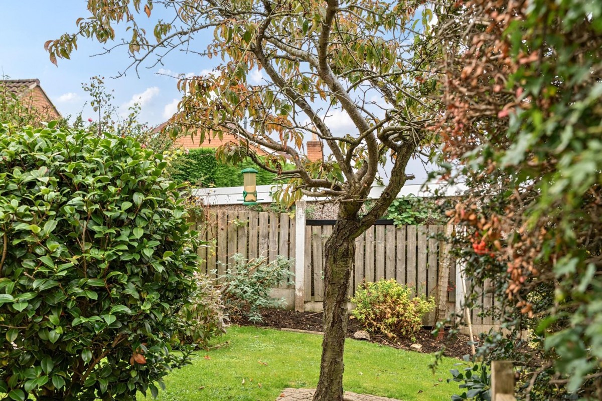 Parlington Meadow, Barwick In Elmet, Leeds