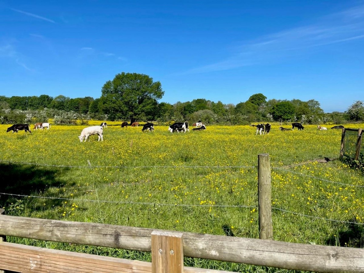 Brampton Road, Carlisle