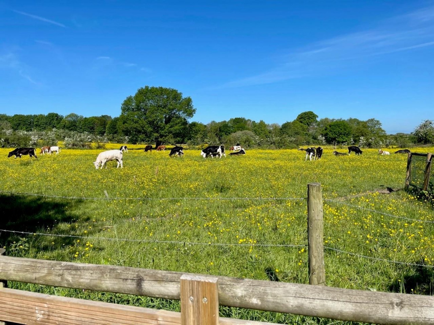 Brampton Road, Carlisle