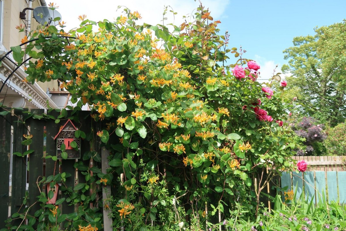 The Centre, Evenwood, Bishop Auckland