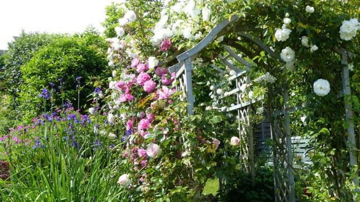 Middle Leazes, Stroud