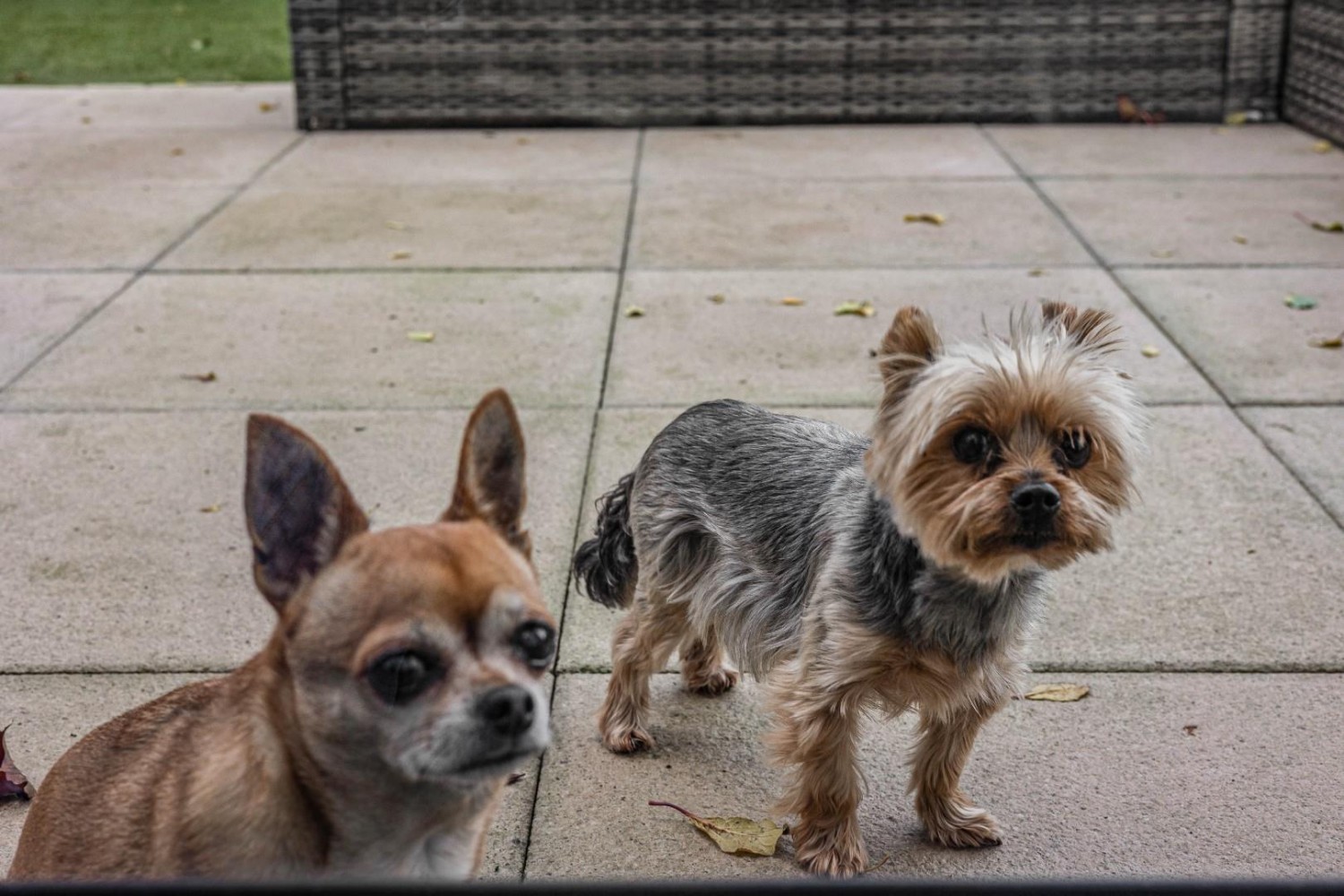 Davids Road, Bristol