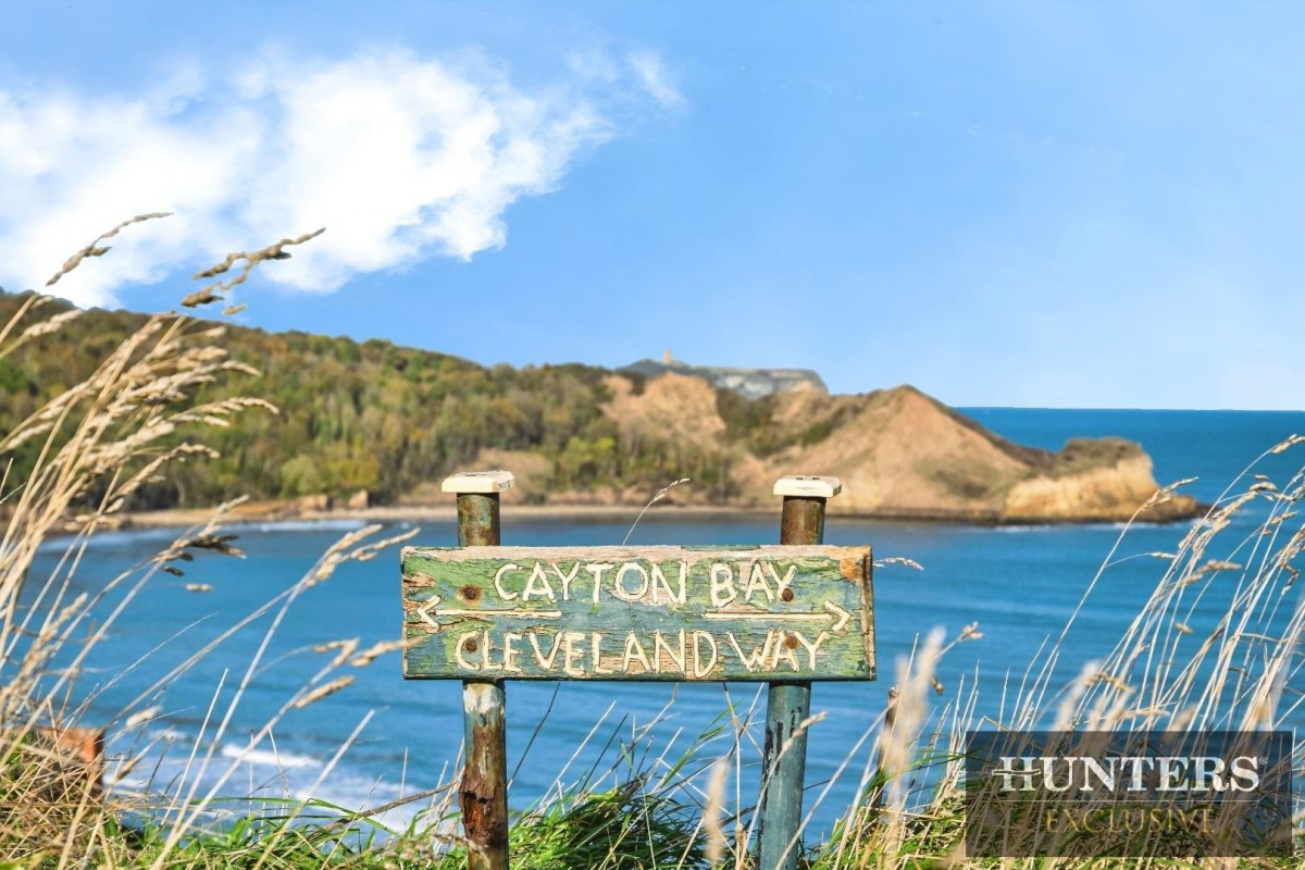 Killerby Cliff, Cayton Bay, Scarborough
