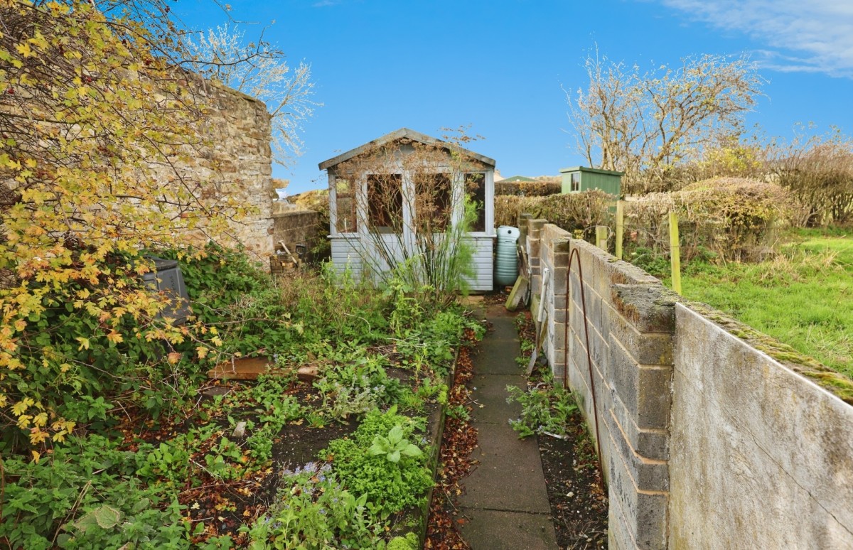 Copley Bent, Butterknowle