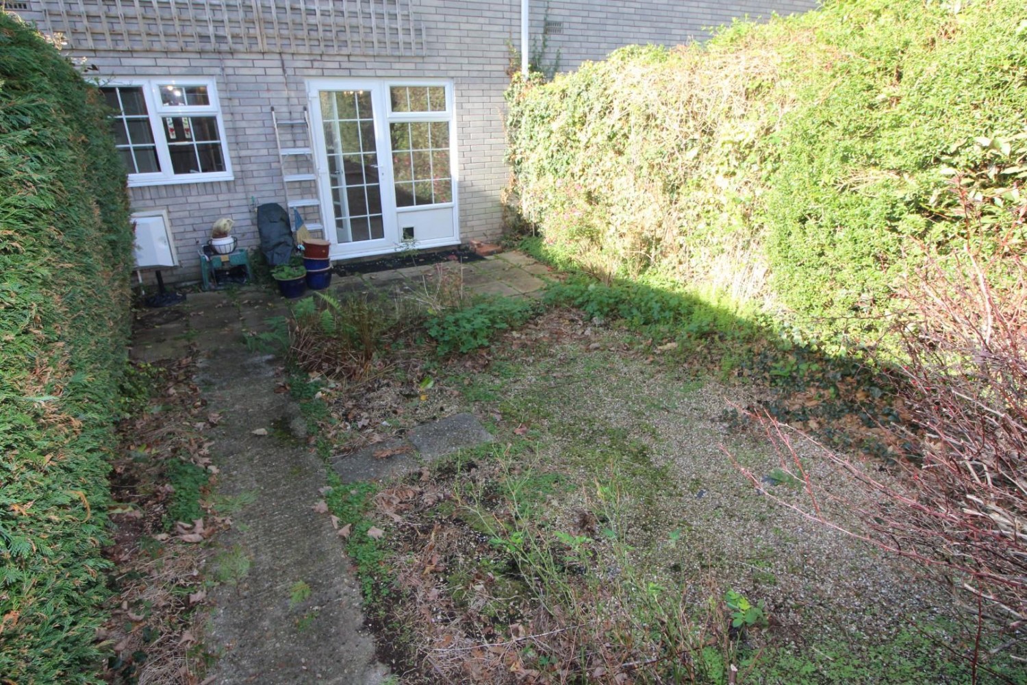 William Close, Walkford