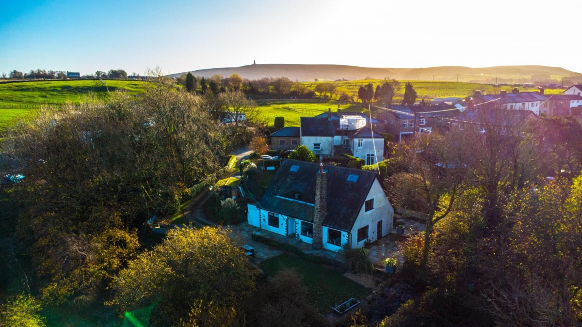 'The Paddock' Golden Soney, Tockholes