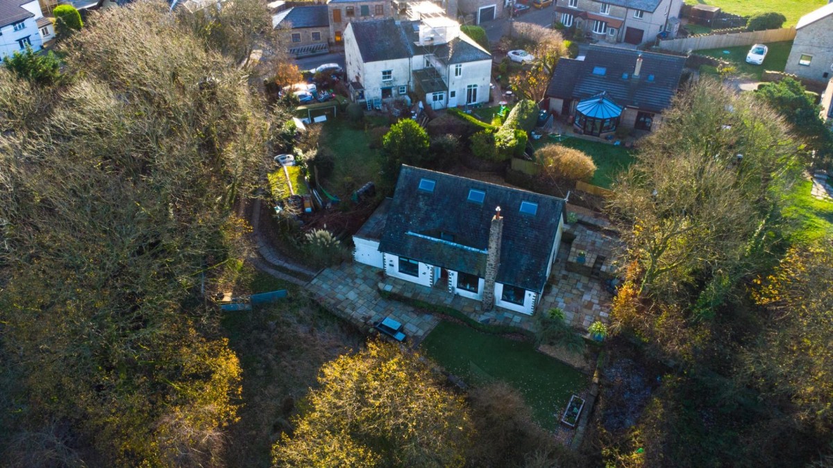 'The Paddock' Golden Soney, Tockholes