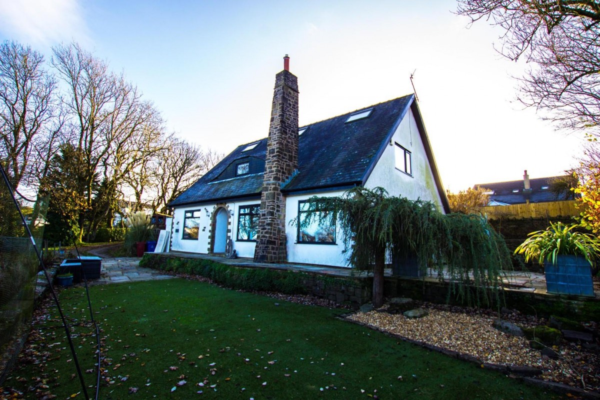 'The Paddock' Golden Soney, Tockholes