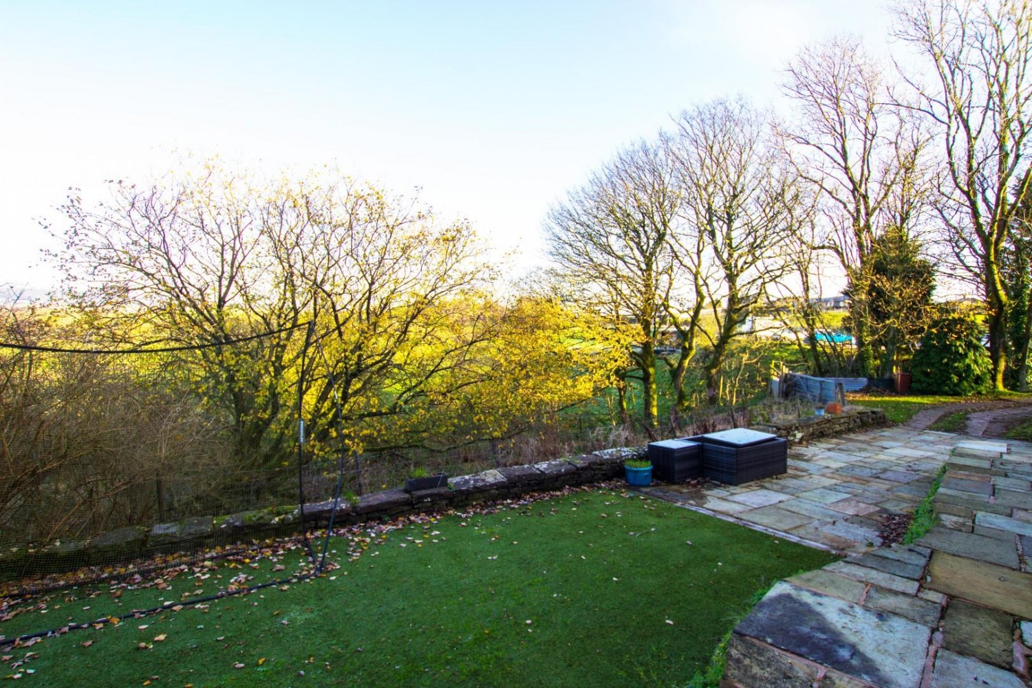 'The Paddock' Golden Soney, Tockholes