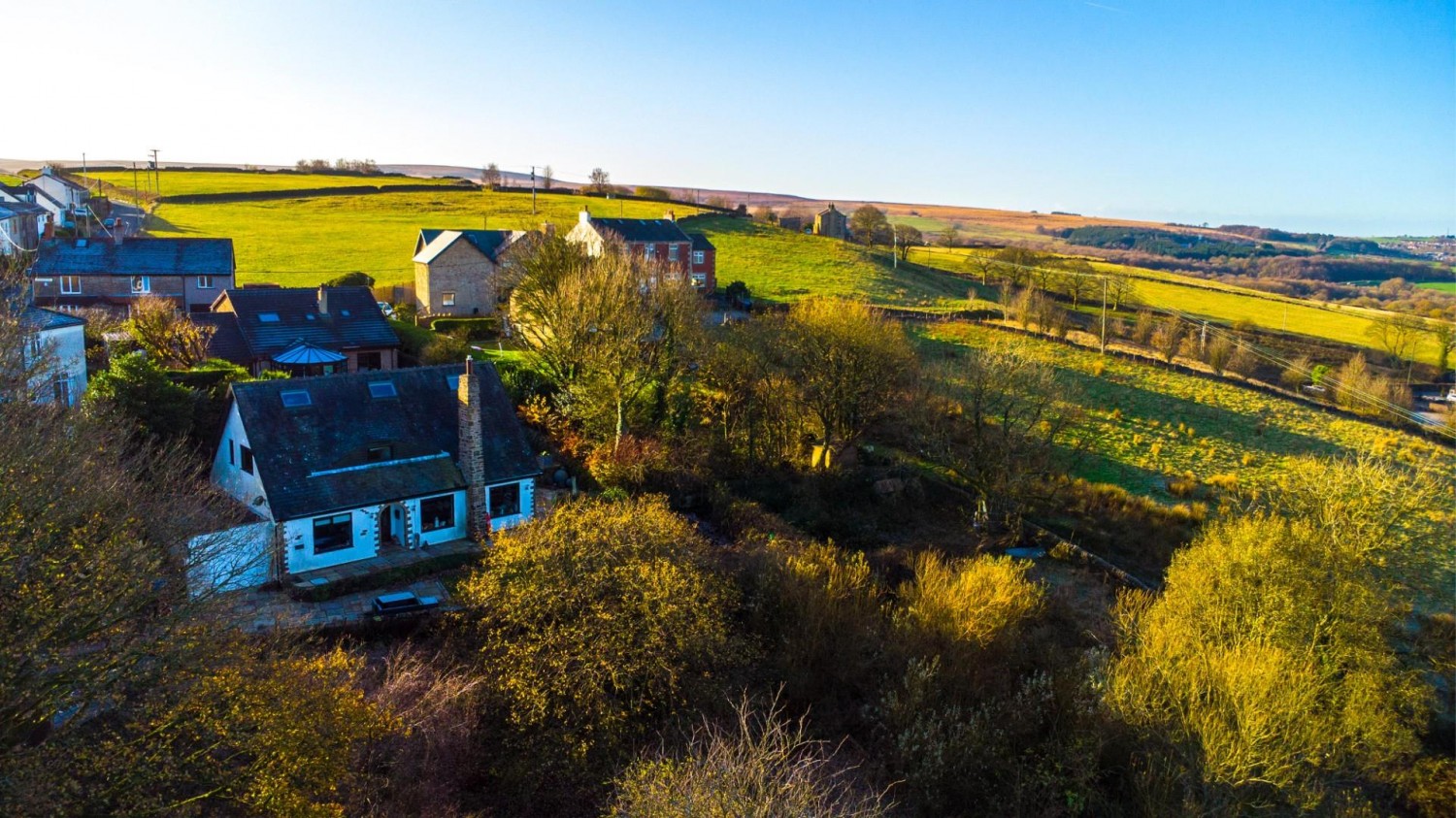 'The Paddock' Golden Soney, Tockholes