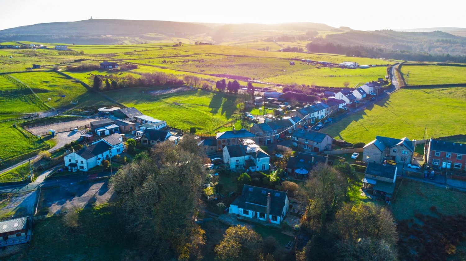 'The Paddock' Golden Soney, Tockholes