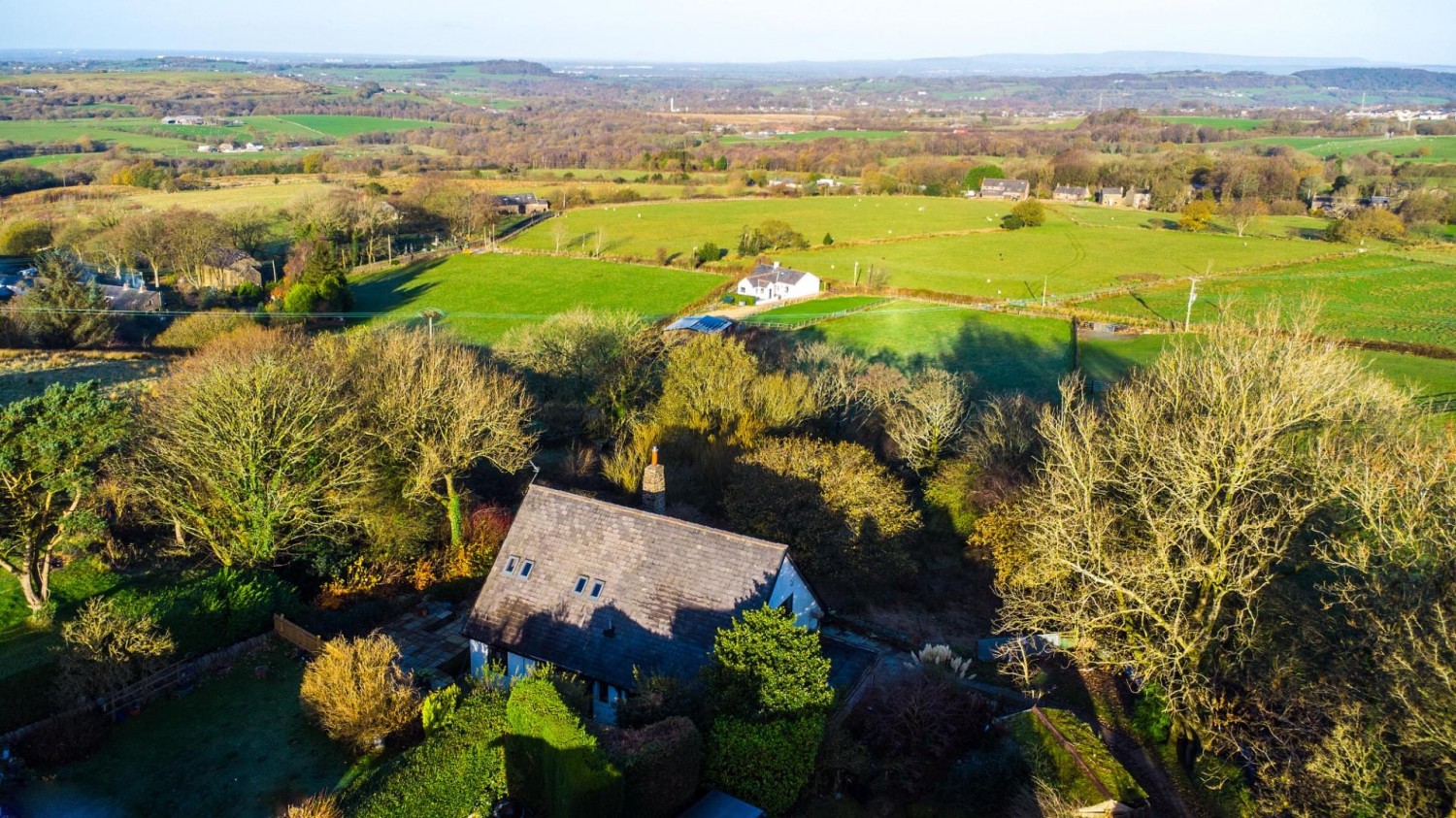 'The Paddock' Golden Soney, Tockholes