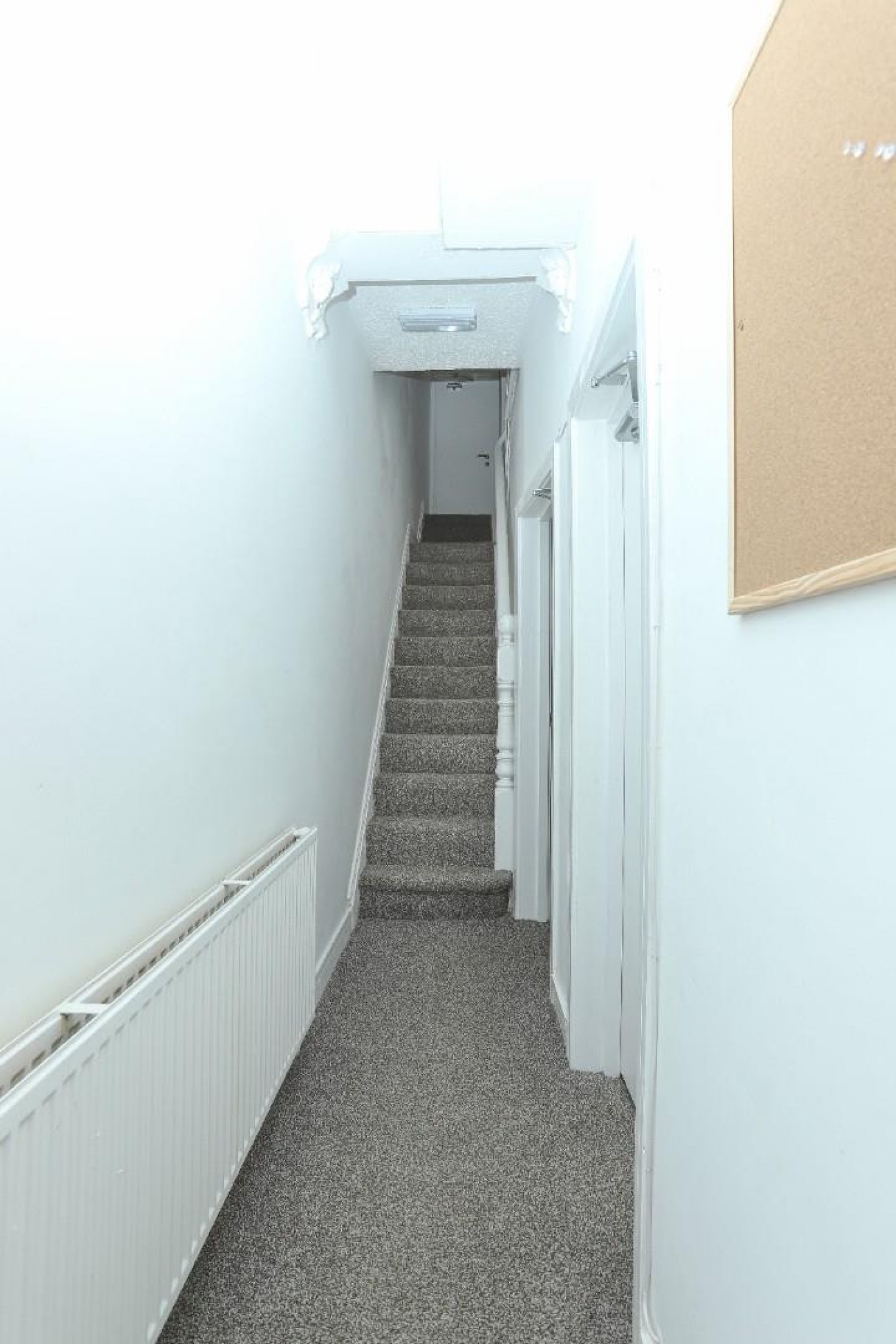 Crescent Road, Middlesbrough