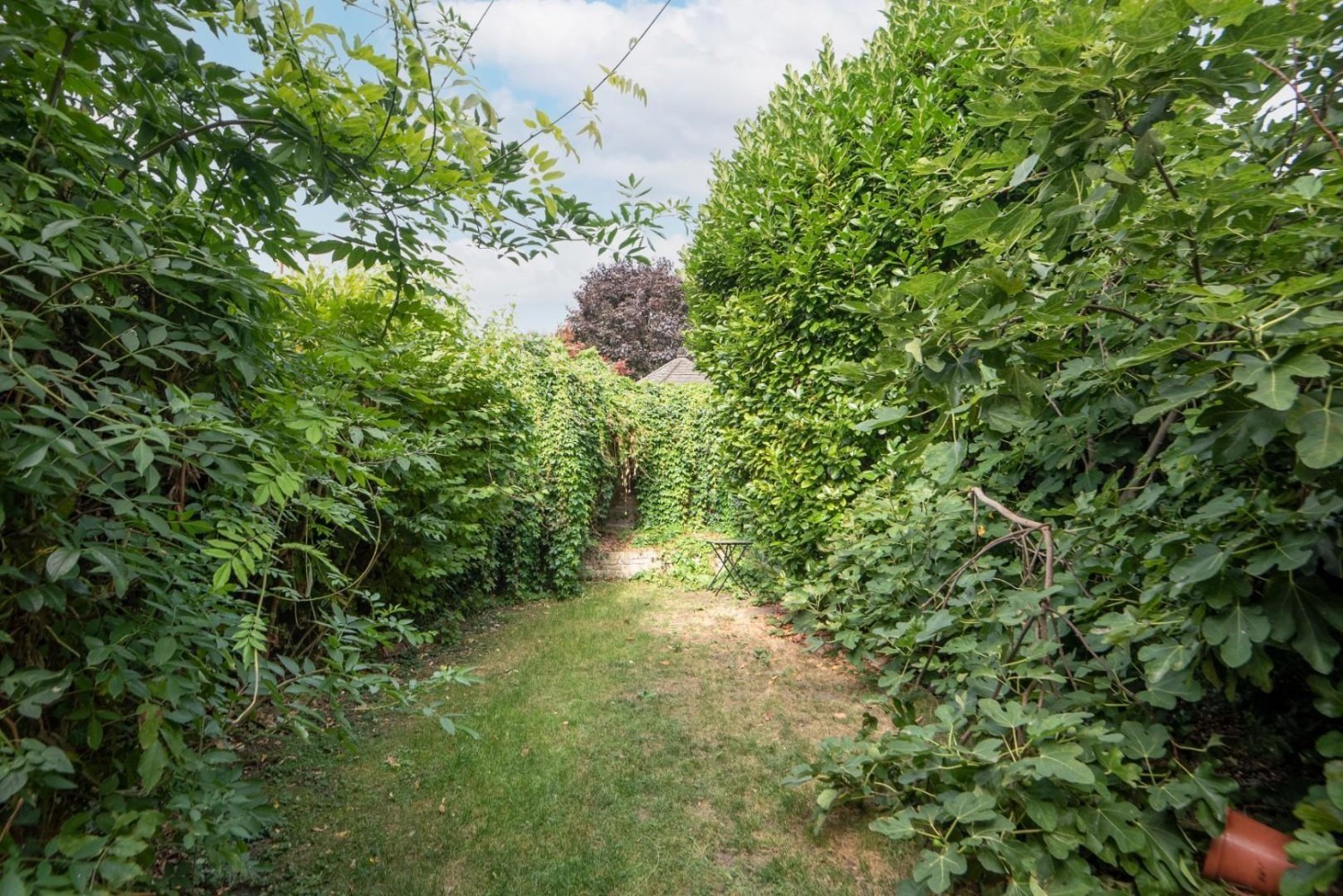 Albion Road, London, N16