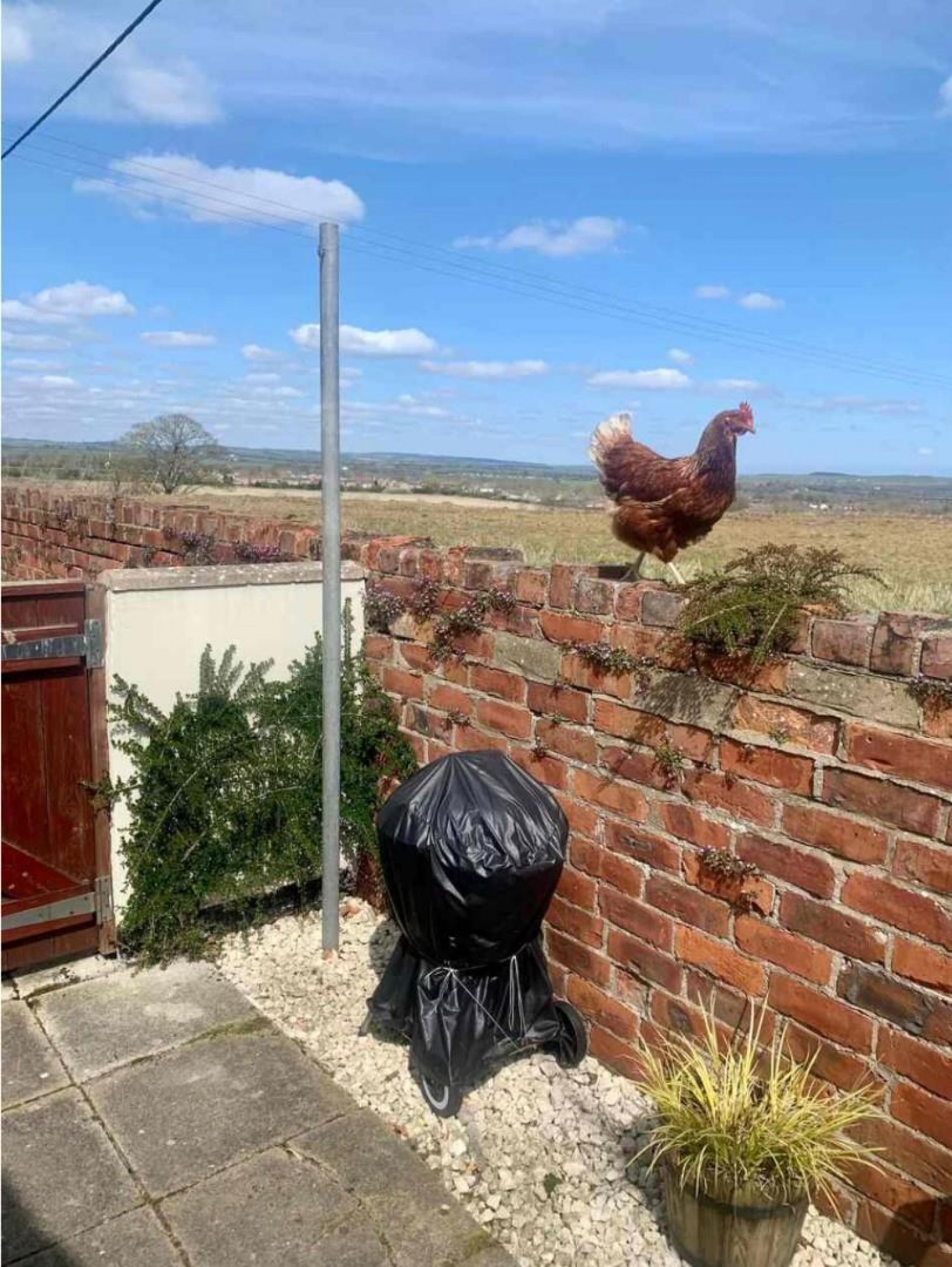 Woodhouses, St. Helen Auckland, Bishop Auckland