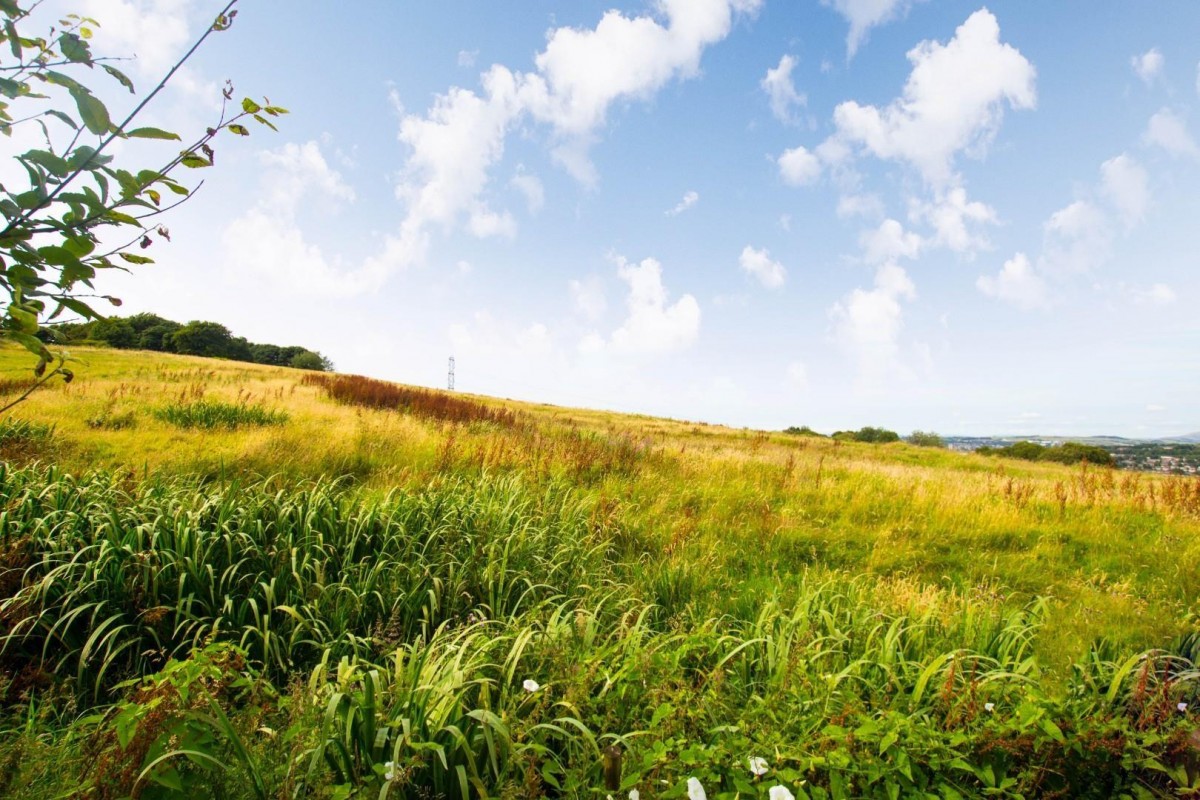 'Bradda' Bog Height Road