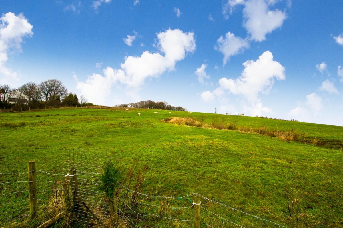 'Bradda' Bog Height Road