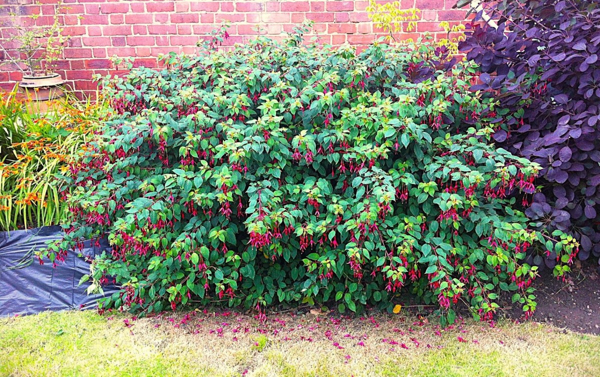 Harlington Road, Mexborough, Doncaster