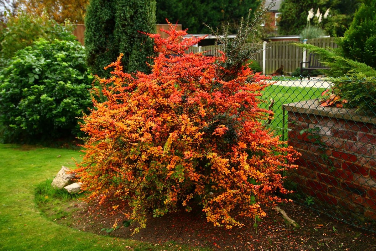 Harlington Road, Mexborough, Doncaster