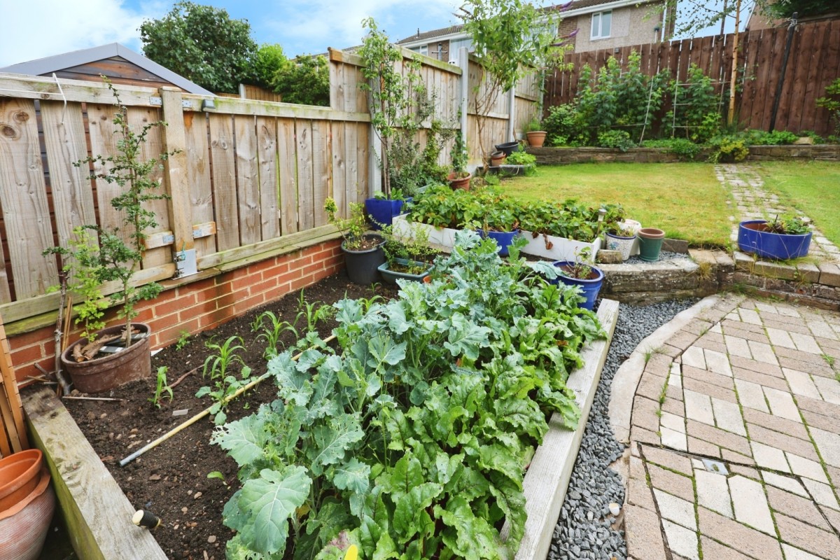 Derwent Avenue, West Auckland, Bishop Auckland