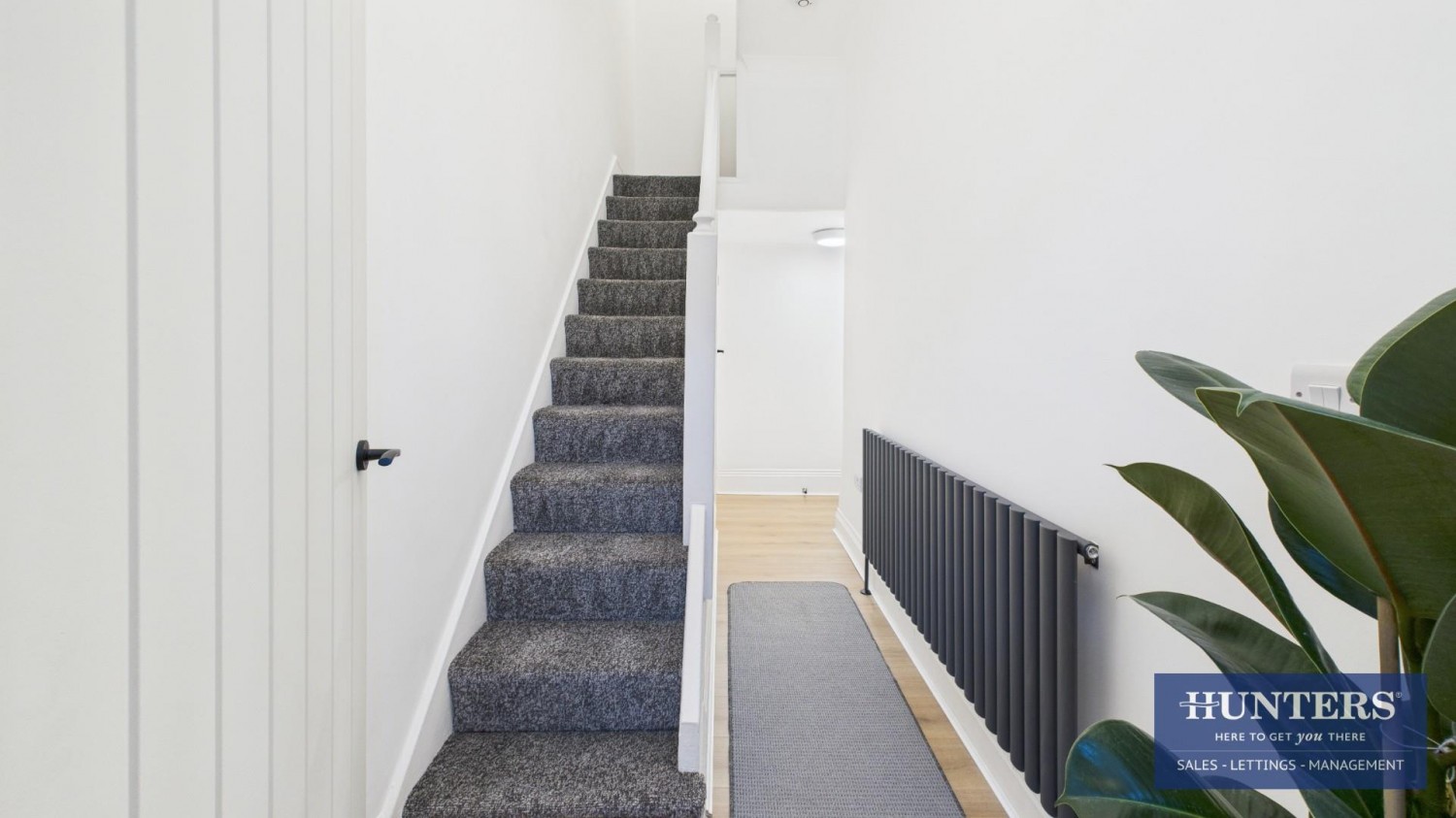 Violet Street, Sunderland