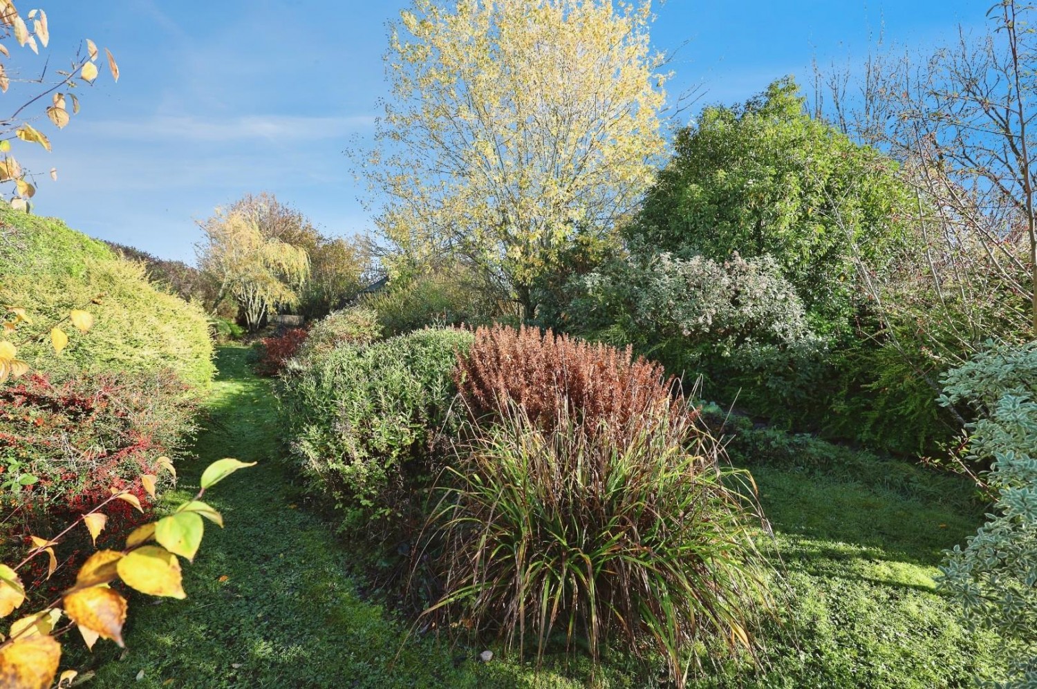 Farm Buildings, Page Bank, Spennymoor