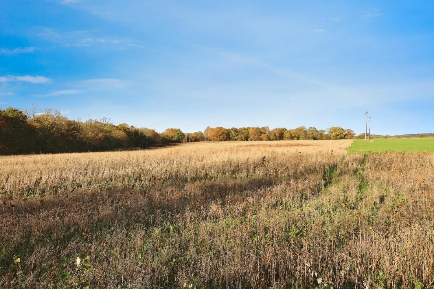 Farm Buildings, Page Bank, Spennymoor