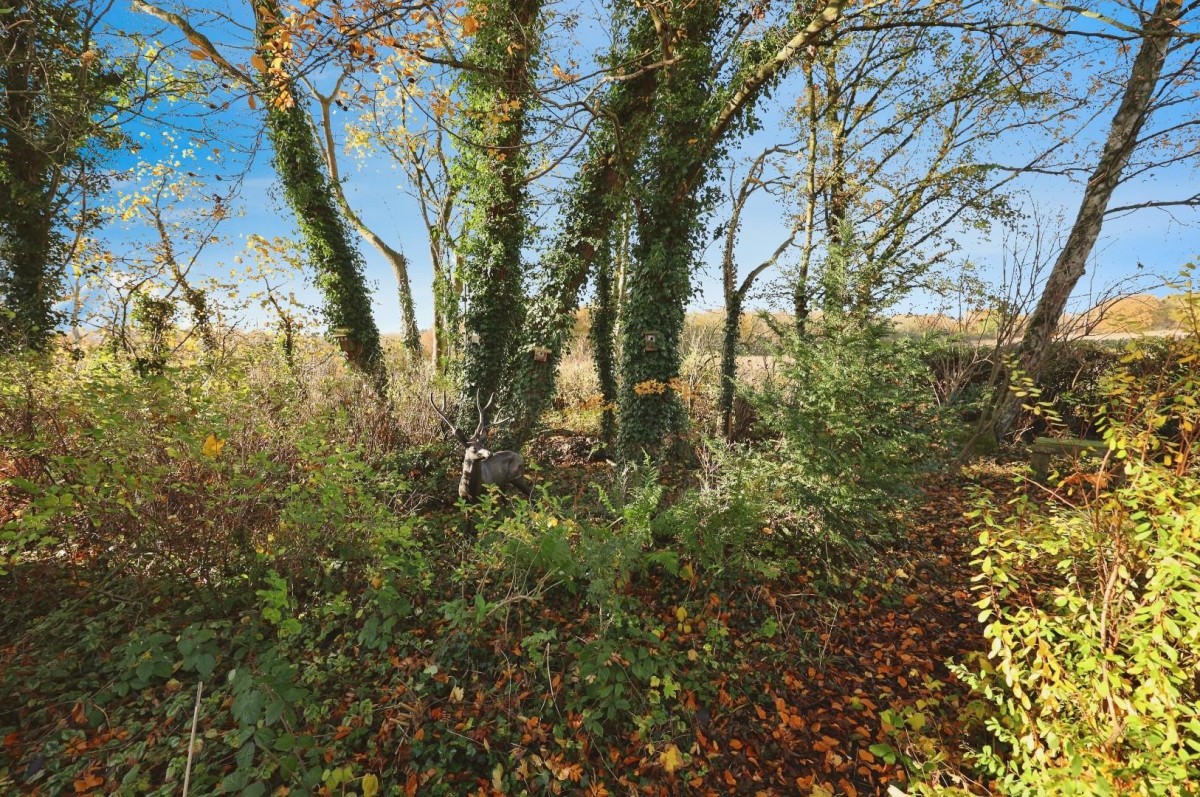 Farm Buildings, Page Bank, Spennymoor