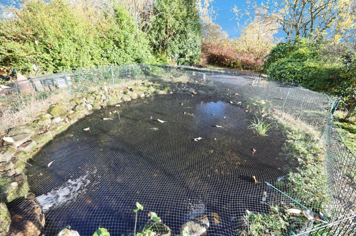 Farm Buildings, Page Bank, Spennymoor