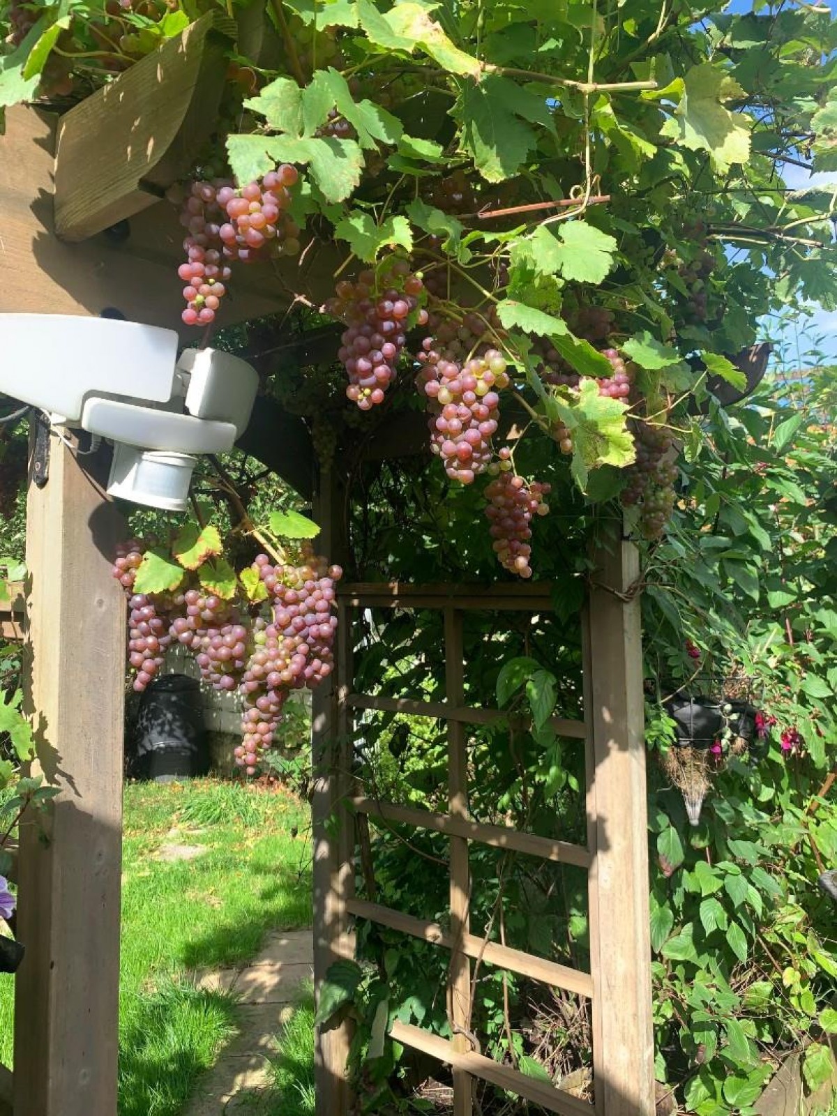 Wingfield Road, Lower Knowle, BS3 5EQ