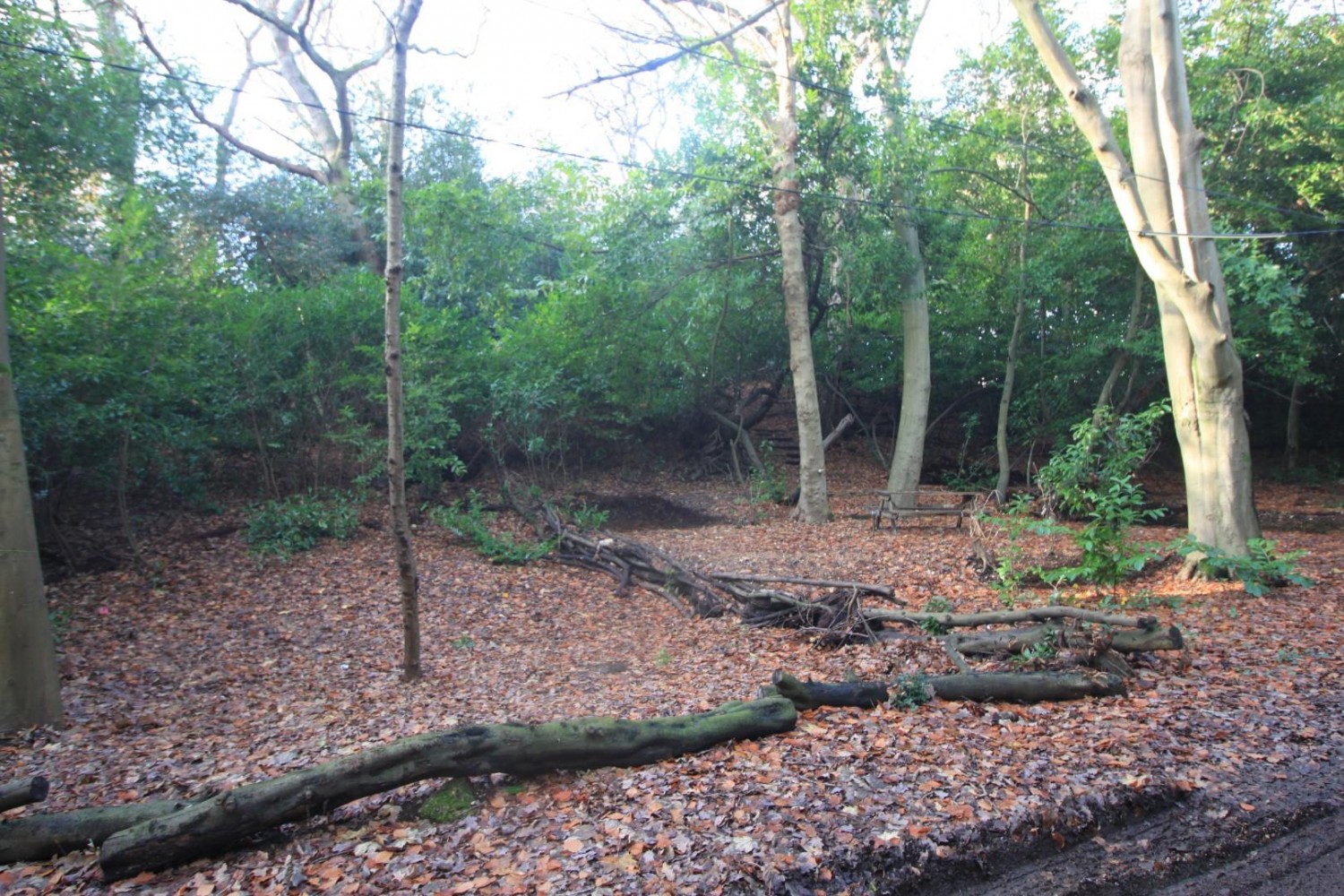 Gas House Hill, Netley Abbey, Southampton