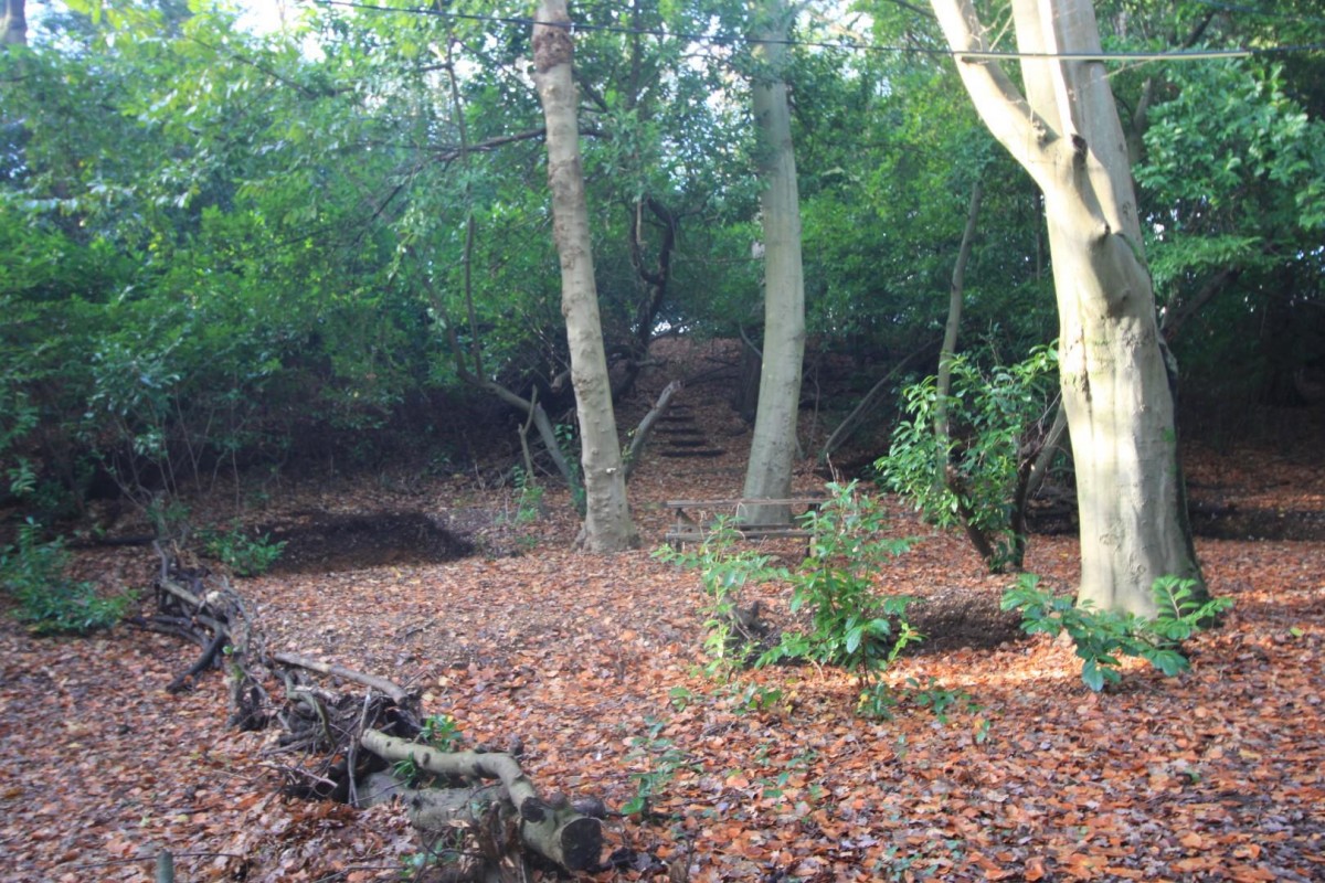 Gas House Hill, Netley Abbey, Southampton