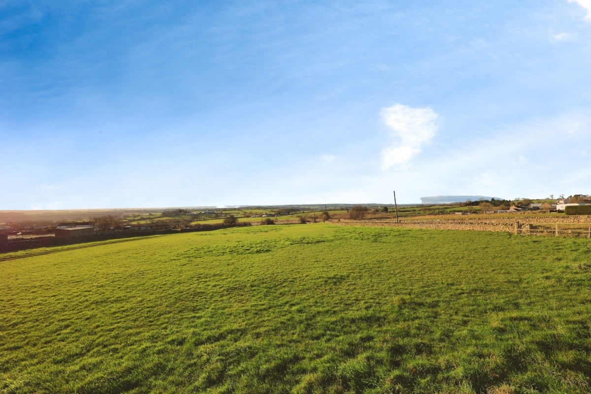 Toft Hill, Bishop Auckland